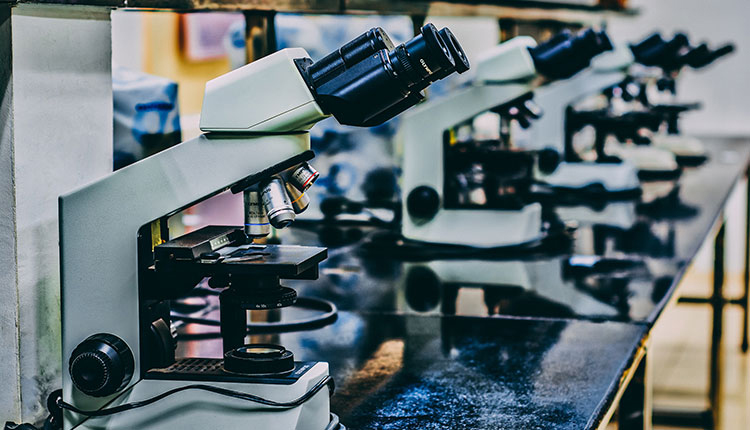 TrueX COAT Coating analyzer(图4)