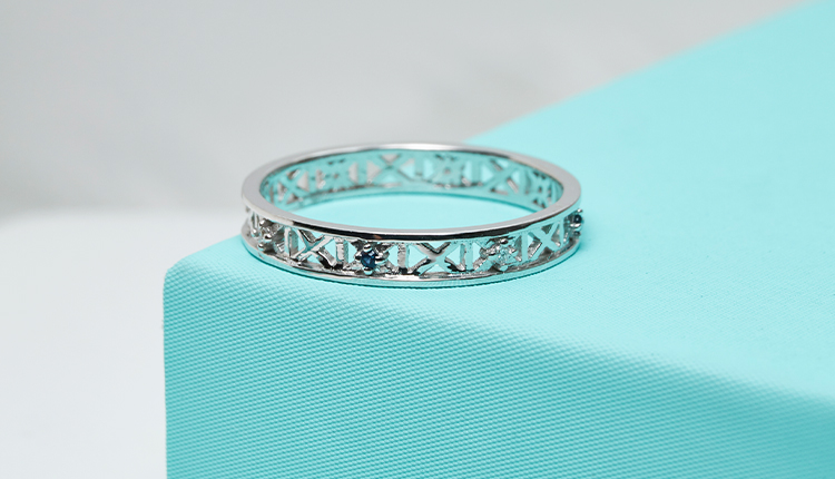 ScopeX COAT Coating analyzer(图4)