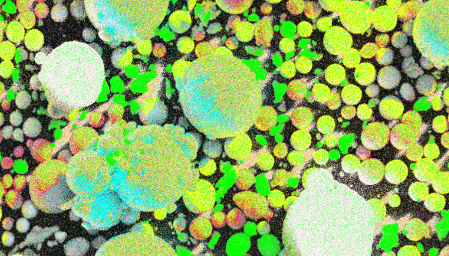SuperSEM Desktop Real-time Energy Spectrum Scanning Electron Microscope(图1)