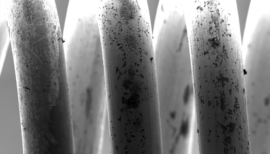 SuperSEM Desktop Real-time Energy Spectrum Scanning Electron Microscope(图2)