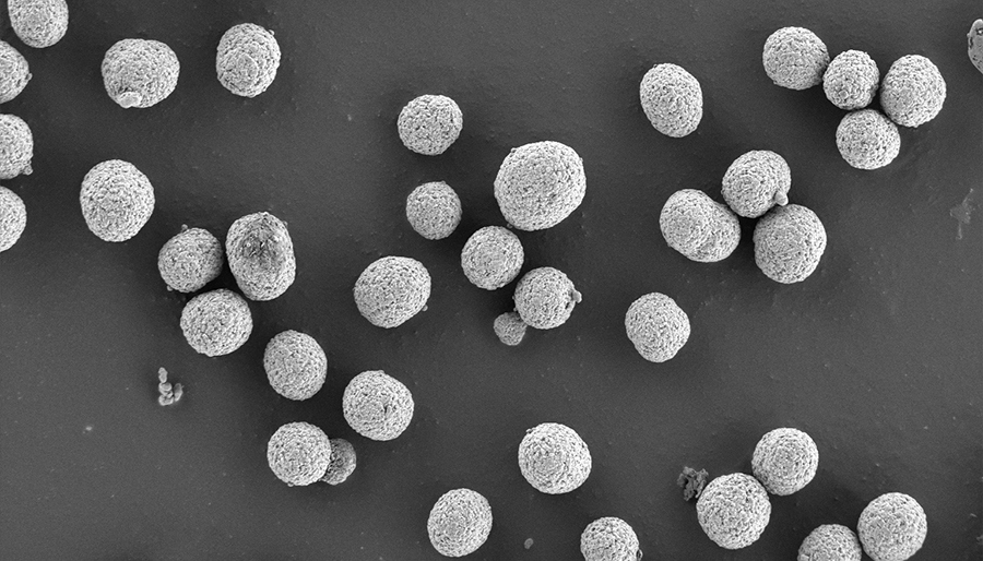 SuperSEM Desktop Real-time Energy Spectrum Scanning Electron Microscope(图5)