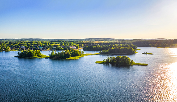 LIBS 5000 Online Laser-Induced Breakdown Spectrometer(图4)