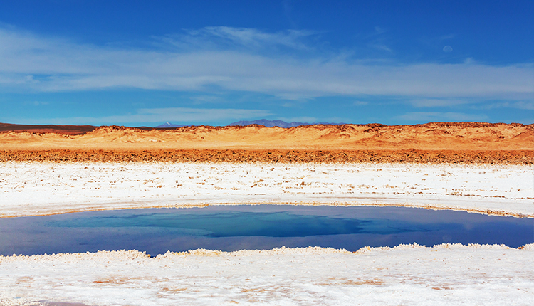 LIBS 5000 Online Laser-Induced Breakdown Spectrometer(图1)