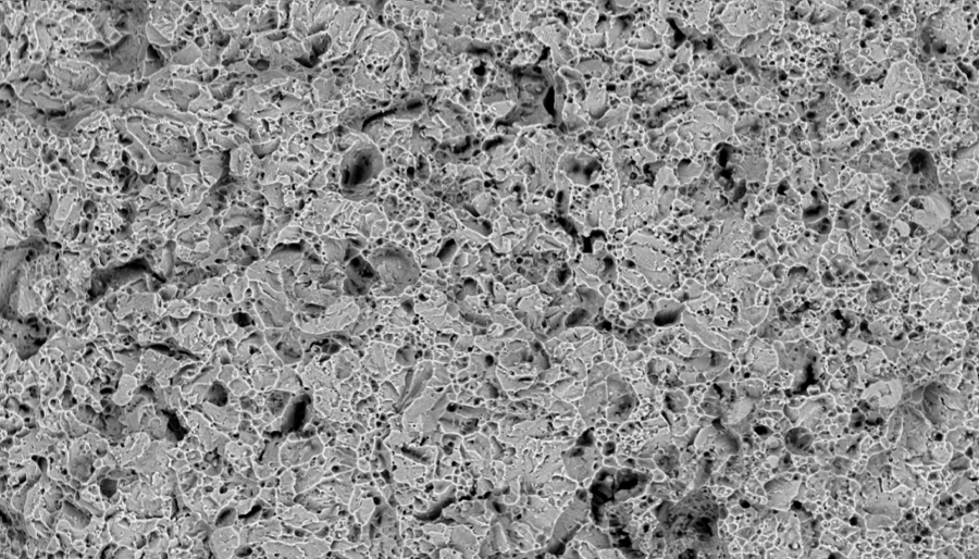 SuperSEM N10XL Desktop Scanning Electron Microscope(图6)