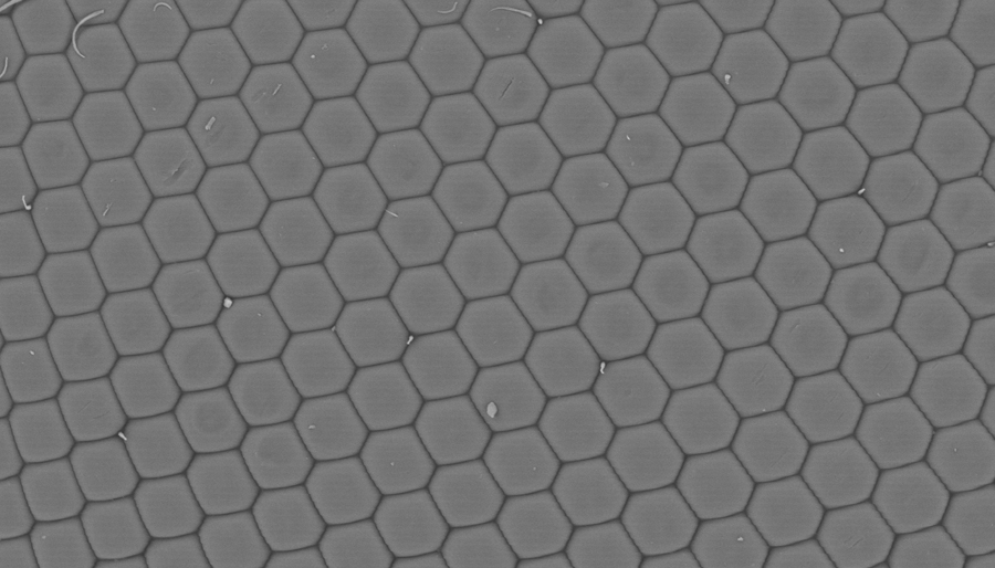 SuperSEM N10XL Desktop Scanning Electron Microscope(图3)